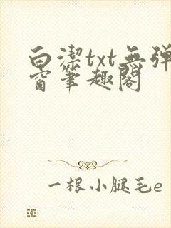 白洁txt无弹窗笔趣阁