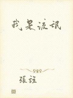 我是流氓封面
