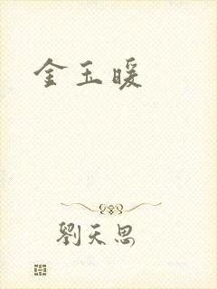 金玉暖封面