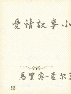 爱情故事小说