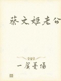 蔡文姬老公封面