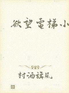 欲望电梯小说