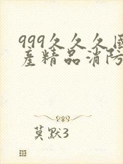 999久久久国产精品消防器材封面