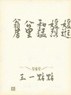 翁公和媛媛在厨房里猛烈进出