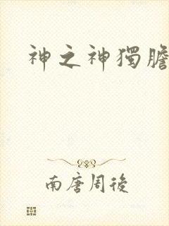 神之神独胆王封面