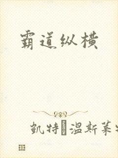 霸道纵横