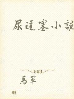 尿道塞小说封面