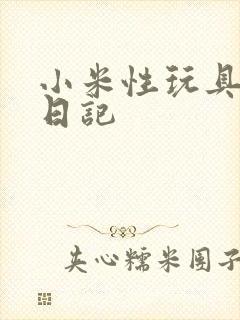 小米性玩具羞辱日记