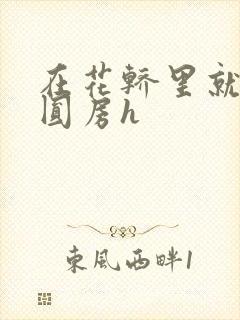 在花轿里就开始圆房h