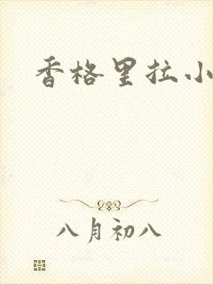香格里拉小说封面