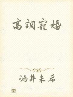 高调宠婚封面