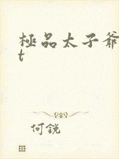 极品太子爷txt