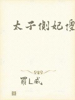 太子侧妃傻乎乎