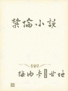 禁伦小说