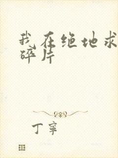 我在绝地求生捡碎片