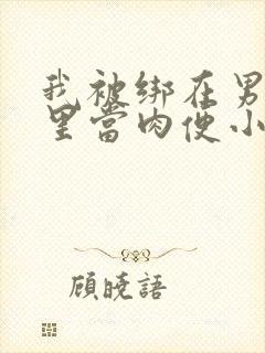 我被绑在男公厕里当肉便小说