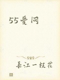 55爱网