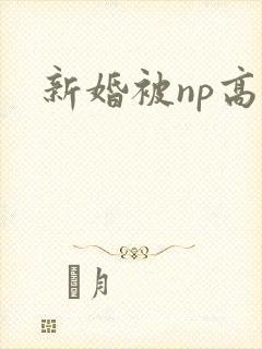 新婚被np高h封面