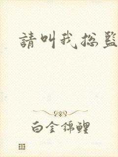 请叫我总监小说