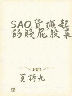 SAO货撅起你的贱屁股来封面