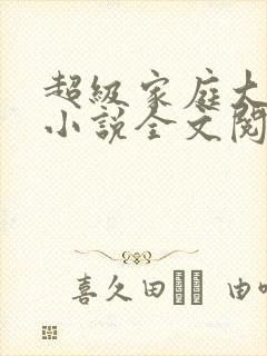超级家庭大杂烩小说全文阅读
