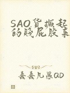 SAO货撅起你的贱屁股来