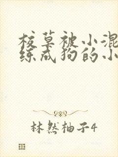 校草被小混混训练成狗的小说
