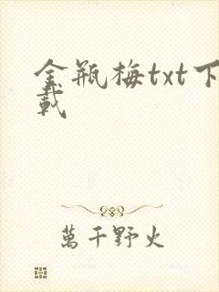 金瓶梅txt下载封面