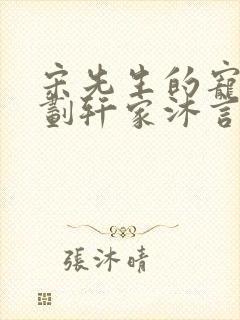 宋先生的宠妻计划轩家沐言封面