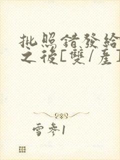 批照错发给情敌之后[双/产]