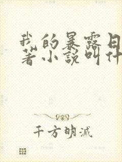 我的暴露日记原著小说叫什么