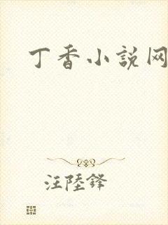 丁香小说网