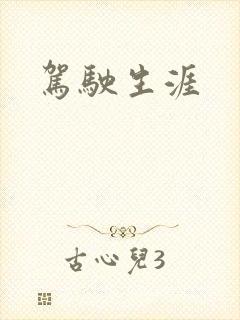 驾驶生涯封面