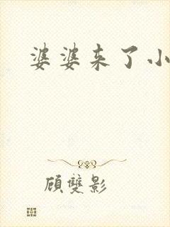 婆婆来了小说封面