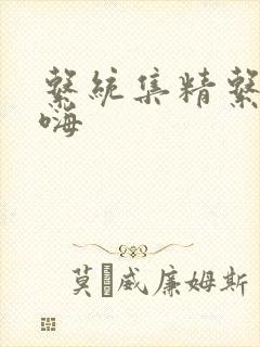 系统集精系统高嗨