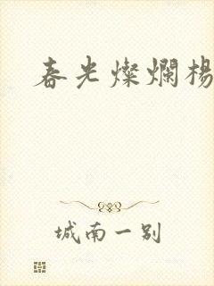 春光灿烂杨家将封面