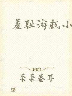 羞耻游戏小说