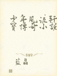 少年风流轩辕大宝传奇小说