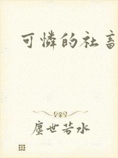 可怜的社畜分手封面