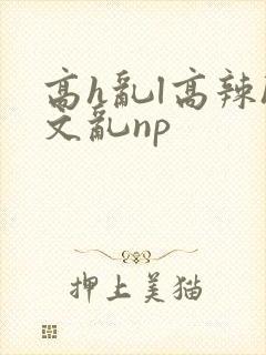 高h乱l高辣h文乱np