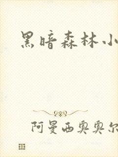 黑暗森林小说封面