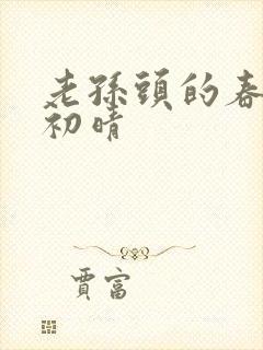 老孙头的春天林初晴封面