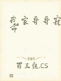 我家哥哥宠妹如命