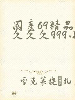 国产69精品久久久久999小说