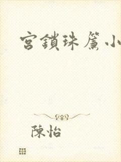 宫锁珠帘小说