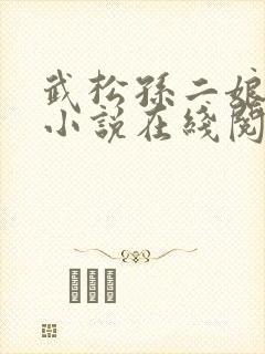 武松孙二娘云雨小说在线阅读封面
