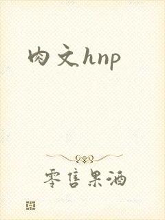 肉文hnp
