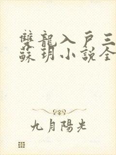 双龙入户三人行苏玥小说全文阅读