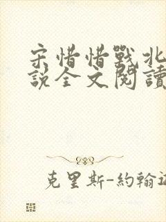 宋惜惜战北望小说全文阅读