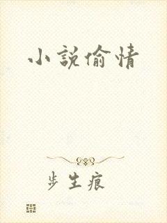 小说偷情